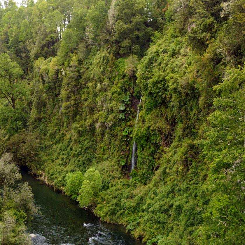 parcelas-en-puyehue-13